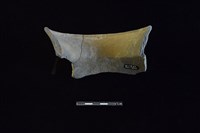 陶罐藏品圖，第2張